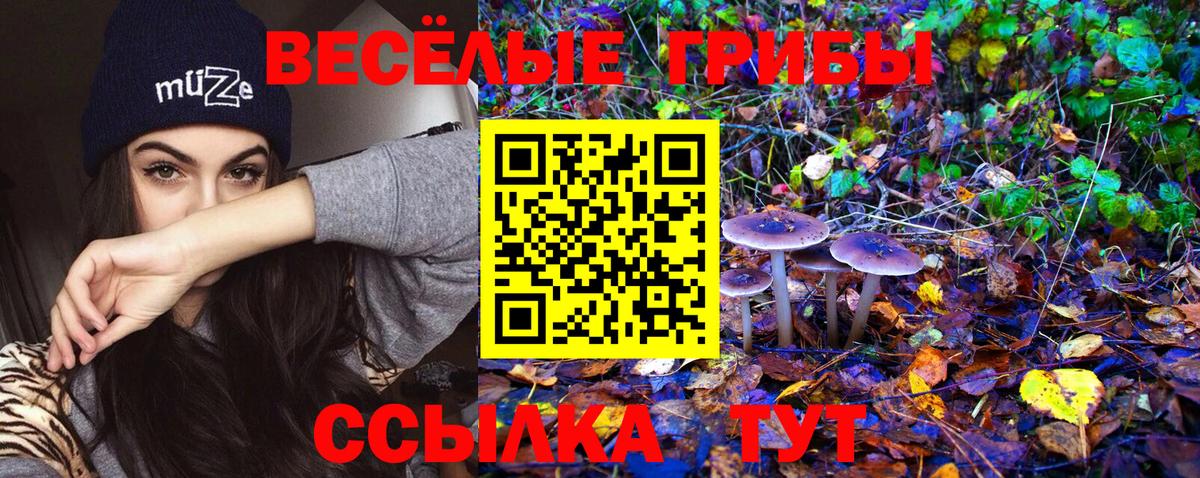 сколько стоит  Галлюциногенные грибы Psilocybine cubensis  Вход с VPN  Ковров  Галлюциногенные грибы ЛСД 